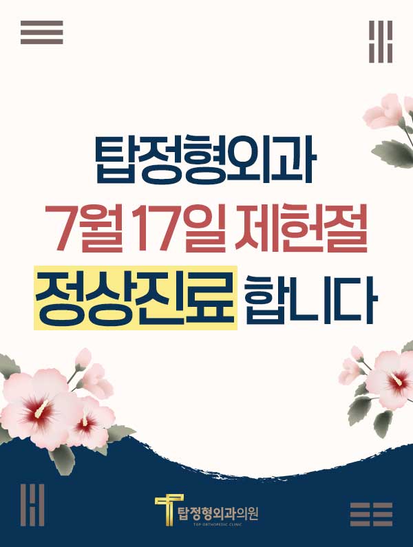 2026 제헌절 팝업이미지